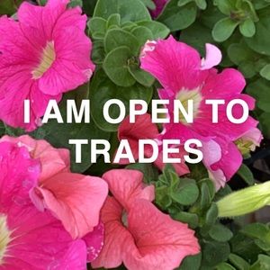 REASONABLE TRADES WILL BE ACCEPTED